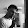 Romain pascal