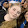 Roblox Queen
