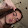renna bug