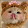 solya Cat