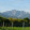 Lupetto Versilia