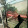 Agro Videos Sk