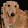 Seamus Howling