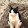 A FREAKIN CAT