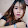 ต้นไม้ กะดอกหญ้ง