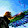 Blue jay3022