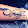 Francy 91