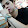 Kier Hasim