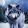 Wolf 31