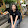 Minh Anh Phạm