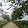 Võ Quang Thảo