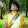 Yajna007