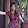 trần my my