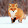 Fuchs :3