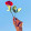 nassim nassim