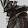 Neoxide