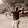 Captainx _