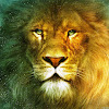 http://yt3.ggpht.com/-K8bUYMUNmNA/AAAAAAAAAAI/AAAAAAAAAAA/EJerFuMaXM8/s100-c-k-no/photo.jpg