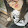 Jeanne. gnth
