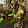 Lt Enclave Soldier