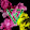 _V_e_r_o_n_i_k_a_ К