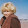 Sherry Anderson