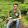 Sai Nagesh