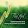 Thảo 1m5