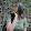 MSP STARSHINE