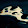 Samp Gaming / John_Collins