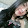 Dayana Kyuhyun
