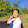 สิริชนก ไชยแสง