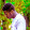 yassair fopa