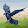 geo gamer dachi