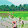 penchalkona temple Vinod Kumar reddy