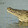 Crocko Rocko