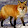 Foxnet