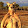 Pipo Le Kangourou