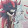 Saetta The Cool Boy