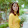 Huong hoang lan