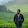 Damien Rahul