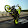 Suky BikerCz