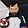patenti go lets play