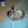bill thecat