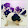 Love dog
