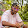 Rafael Pereira