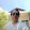 Tuan Tran