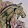 Poneyfeathers