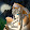 FOX ILLUSION