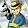 the vault dweller